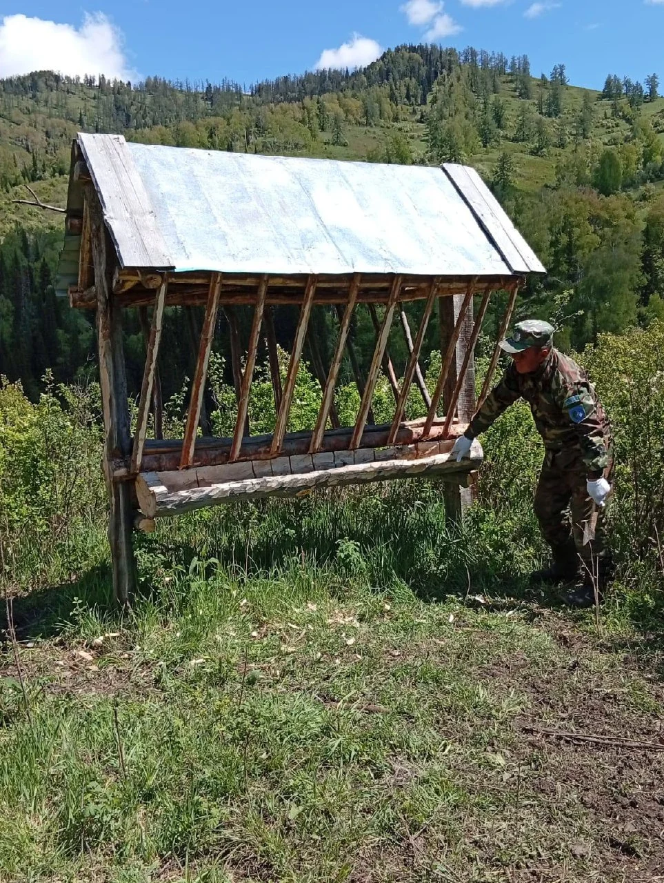 Қыс әлі келген жоқ, ал орман тұрғындарының азығы әзір — Фотосурет 3
