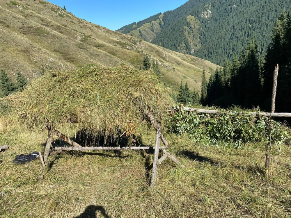 Қыс әлі келген жоқ, ал орман тұрғындарының азығы әзір — Фотосурет 26