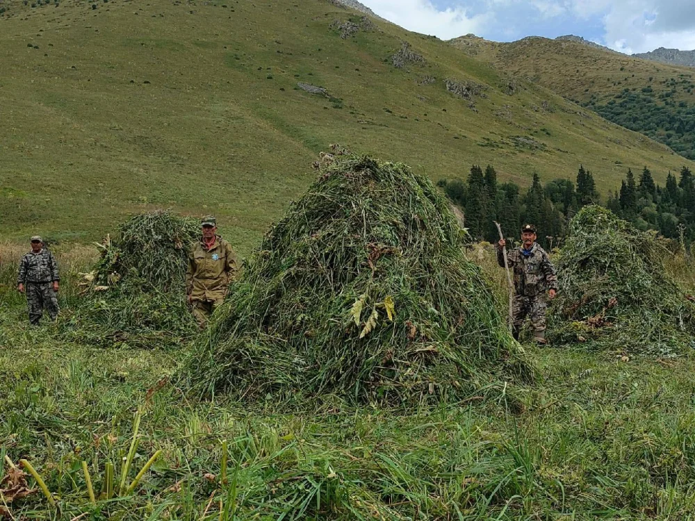 Қыс әлі келген жоқ, ал орман тұрғындарының азығы әзір — Фотосурет 9