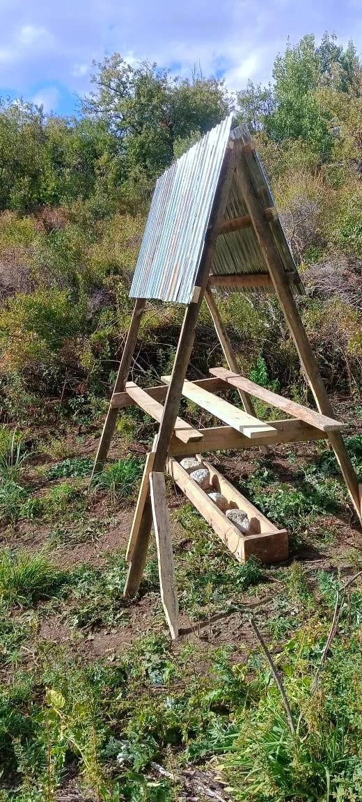 Қыс әлі келген жоқ, ал орман тұрғындарының азығы әзір — Фотосурет 12