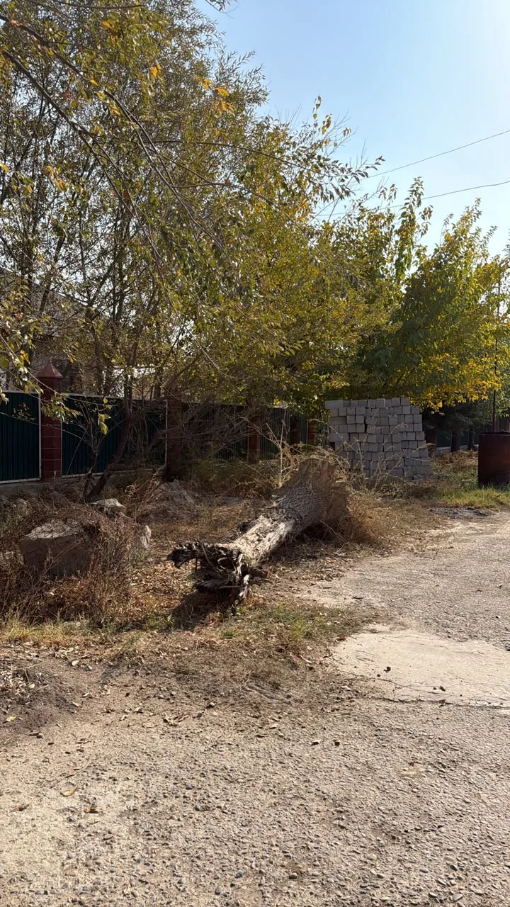 МАҚТААРАЛДА ТАЗАЛЫҚ ТАЛАПТАРЫН БҰЗҒАН АЗАМАТТАРҒА АЙЫППҰЛ САЛЫНДЫ — Фотосурет 2