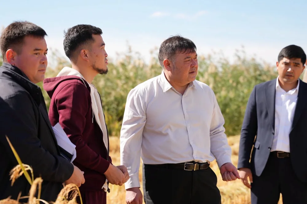 ШАРДАРА АУДАНЫНЫҢ ӘКІМІ АРМАН РОМАНҰЛЫ "ДІНИСЛАМ" ШАРУА ҚОЖАЛЫҒЫНЫҢ АЛҚАБЫНА БАРДЫ. — Фотосурет 5