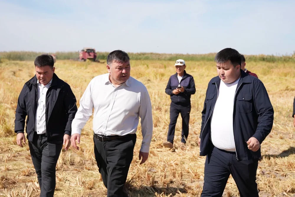 ШАРДАРА АУДАНЫНЫҢ ӘКІМІ АРМАН РОМАНҰЛЫ "ДІНИСЛАМ" ШАРУА ҚОЖАЛЫҒЫНЫҢ АЛҚАБЫНА БАРДЫ. — Фотосурет 10