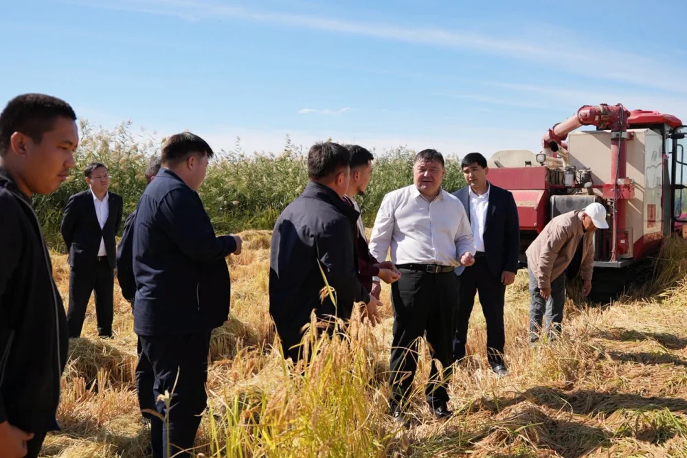 ШАРДАРА АУДАНЫНЫҢ ӘКІМІ АРМАН РОМАНҰЛЫ "ДІНИСЛАМ" ШАРУА ҚОЖАЛЫҒЫНЫҢ АЛҚАБЫНА БАРДЫ. — Фотосурет 7