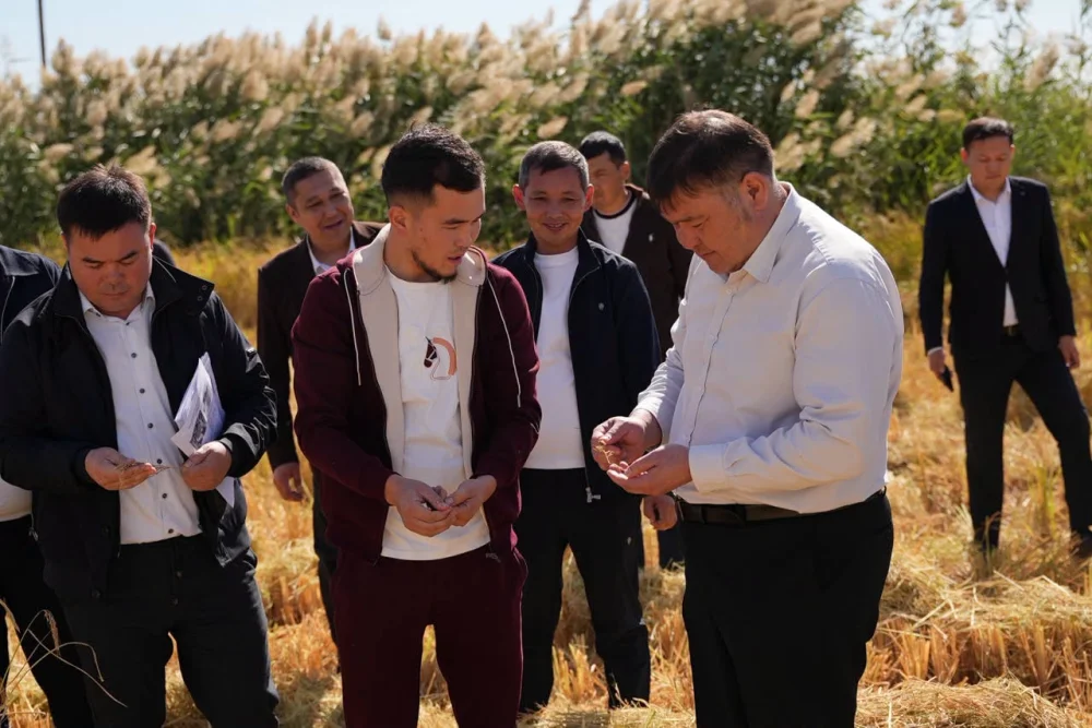 ШАРДАРА АУДАНЫНЫҢ ӘКІМІ АРМАН РОМАНҰЛЫ "ДІНИСЛАМ" ШАРУА ҚОЖАЛЫҒЫНЫҢ АЛҚАБЫНА БАРДЫ. — Фотосурет 6