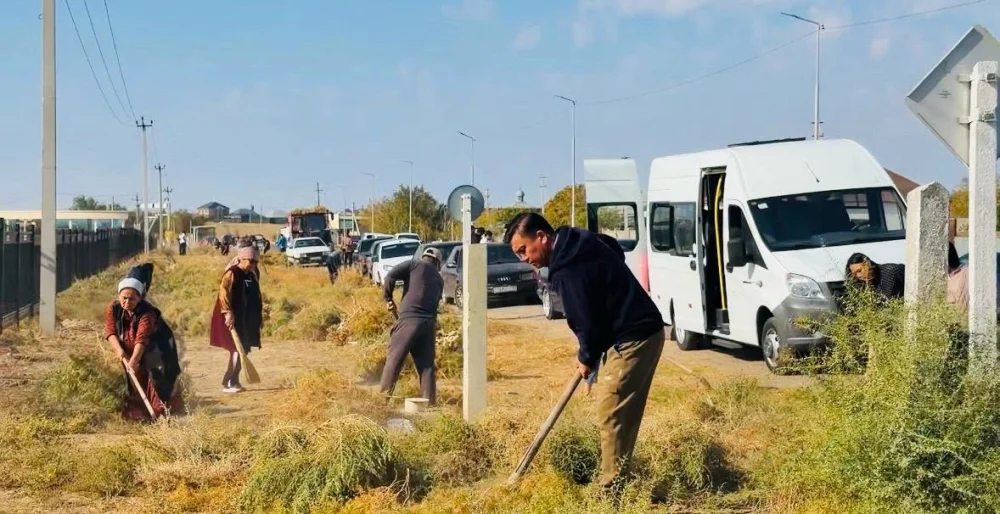 ТАЗА КҮЗ: ШАРДАРА АУДАНЫНДА АУҚЫМДЫ СЕНБІЛІК ӨТТІ — Фотосурет 5