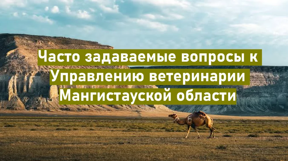 «Маңғыстау облысының ветеринария басқармасына жиі қойылатын сұрақтар»