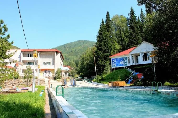 МҮГЕДЕКТІГІ БАР БІРІНШІ ТОПТАҒЫ АДАМДАРДЫ АЛЫП ЖҮРУШІ ТҰЛҒАЛАРҒА САНАТОРЛЫҚ-КУРОРТТЫҚ ЕМДЕУ ШЫҒЫНДАРЫНЫҢ ОРНЫН ТОЛТЫРУ ТҮРІНДЕГІ ӘЛЕУМЕТТІК КӨМЕК