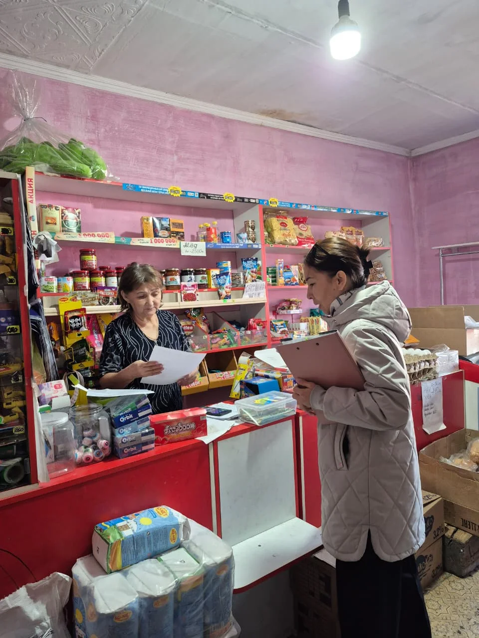Ертіс ауылдық округінде сәулеттік келбетті жақсарту бойынша ақпараттық-түсіндіру жұмыстары жүргізілді — Фотосурет 5