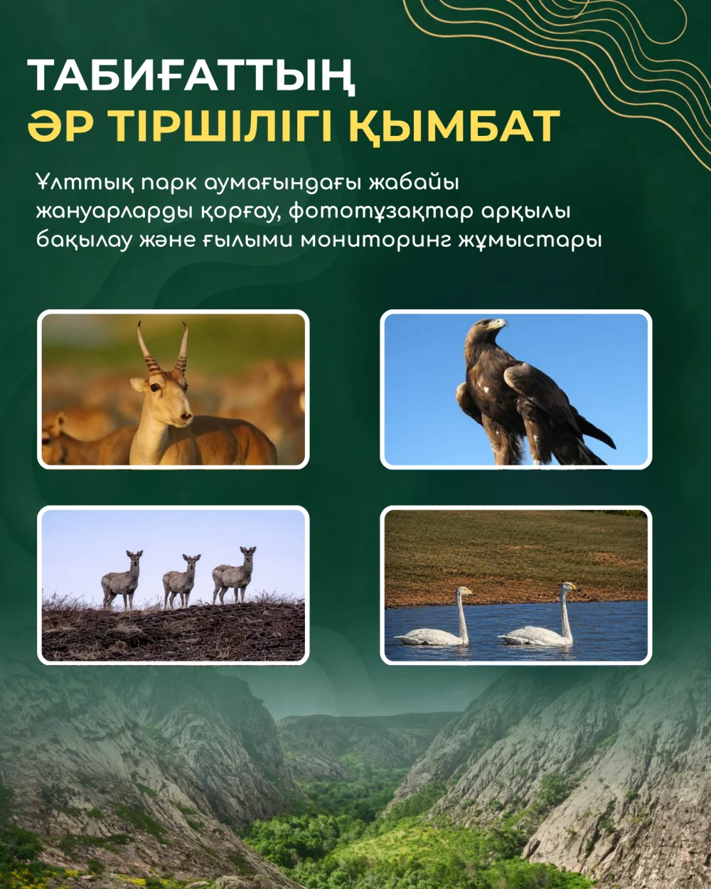 5 жыл. 5 белес. Бір Ұлытау! — Фотосурет 6