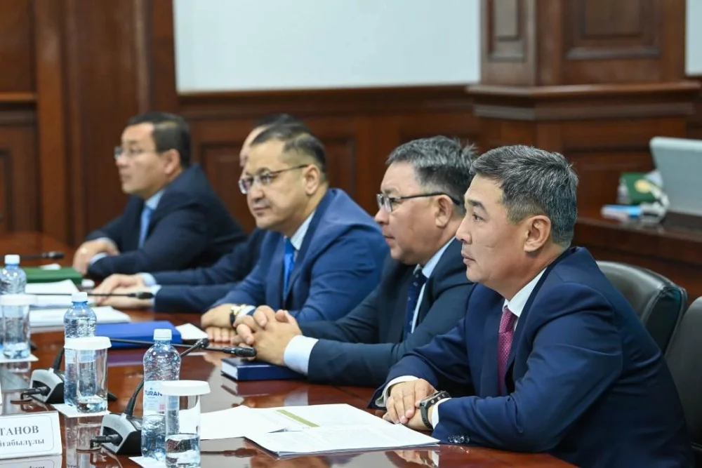 Салық түсімдерін арттыру және бюджет қаражатын толық игеру мәселелері талқыланды — Фотосурет 4
