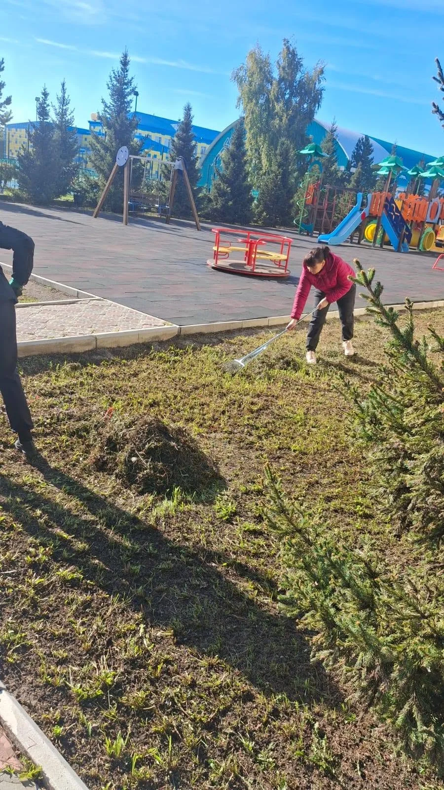 Таза бейсенбі — Фотосурет 8