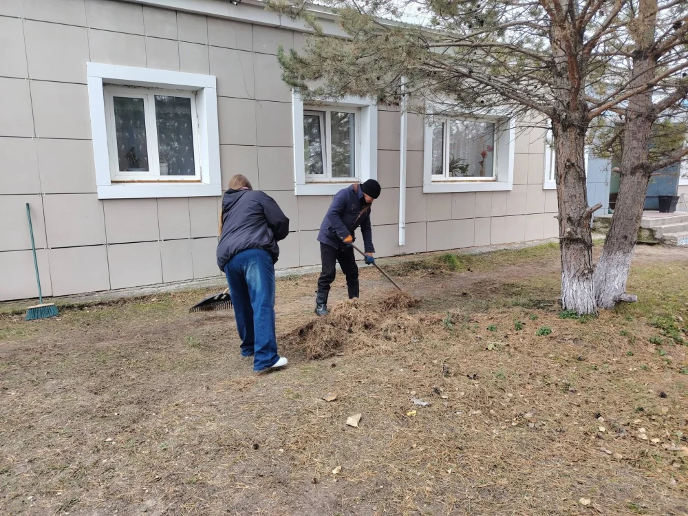 Таза бейсенбі — Фотосурет 16