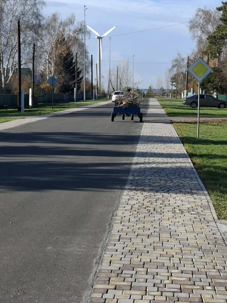 Таза бейсенбі — Фотосурет 6