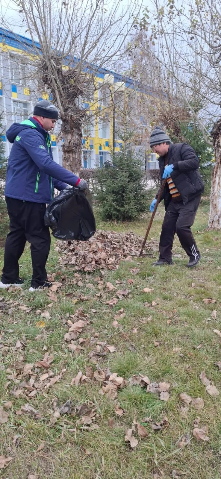 Таза бейсенбі — Фотосурет 3