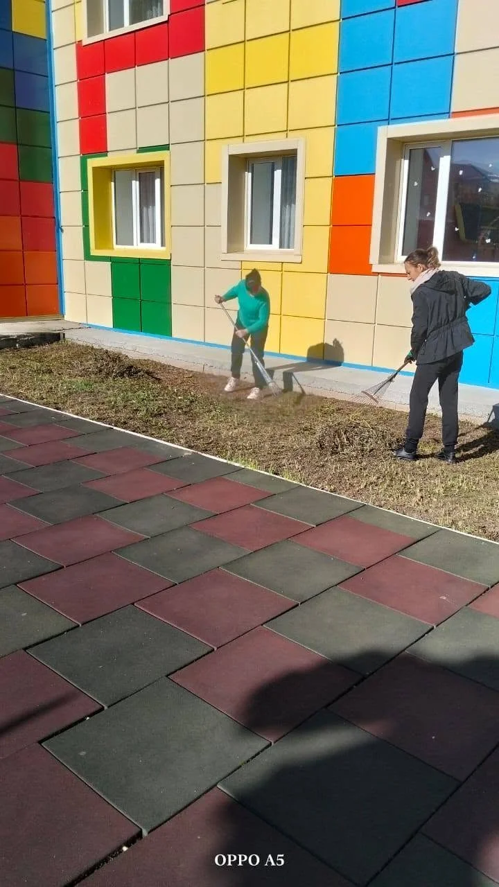 Таза бейсенбі — Фотосурет 12