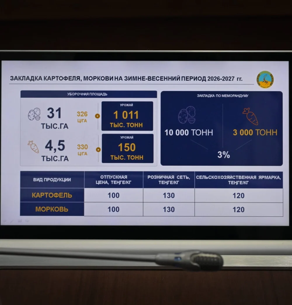 Павлодар облысында картоп пен сәбіз бағасын тұрақтандыру жөнінде келісім жасалды — Фотосурет 3