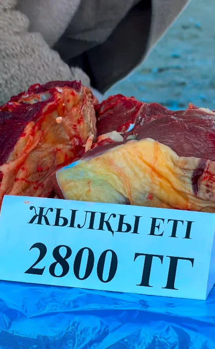 ШАЛҚАРДА АУЫЛ ШАРУАШЫЛЫҒЫ ӨНІМДЕРІНІҢ ЖӘРМЕҢКЕСІ ҰЙЫМДАСТЫРЫЛДЫ — Фотосурет 7