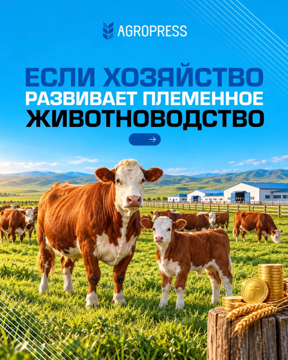 Агробизнеске қандай қаржыландыру бағдарламалары қолжетімді? — Фотосурет 10