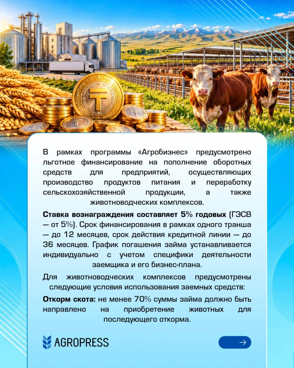 Агробизнеске қандай қаржыландыру бағдарламалары қолжетімді? — Фотосурет 6