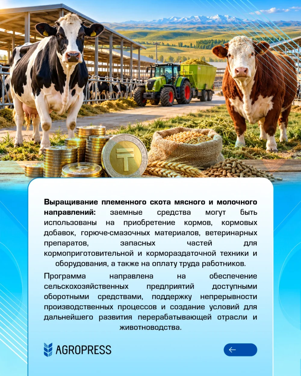Агробизнеске қандай қаржыландыру бағдарламалары қолжетімді? — Фотосурет 7