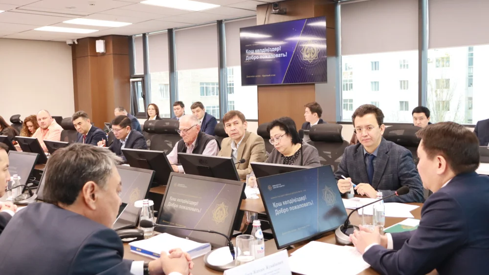 Мемлекеттік кірістер комитеті бизнес қауымдастығымен салық және кедендік әкімшілендіруді дамыту мәселелерін талқылады — Фотосурет 7