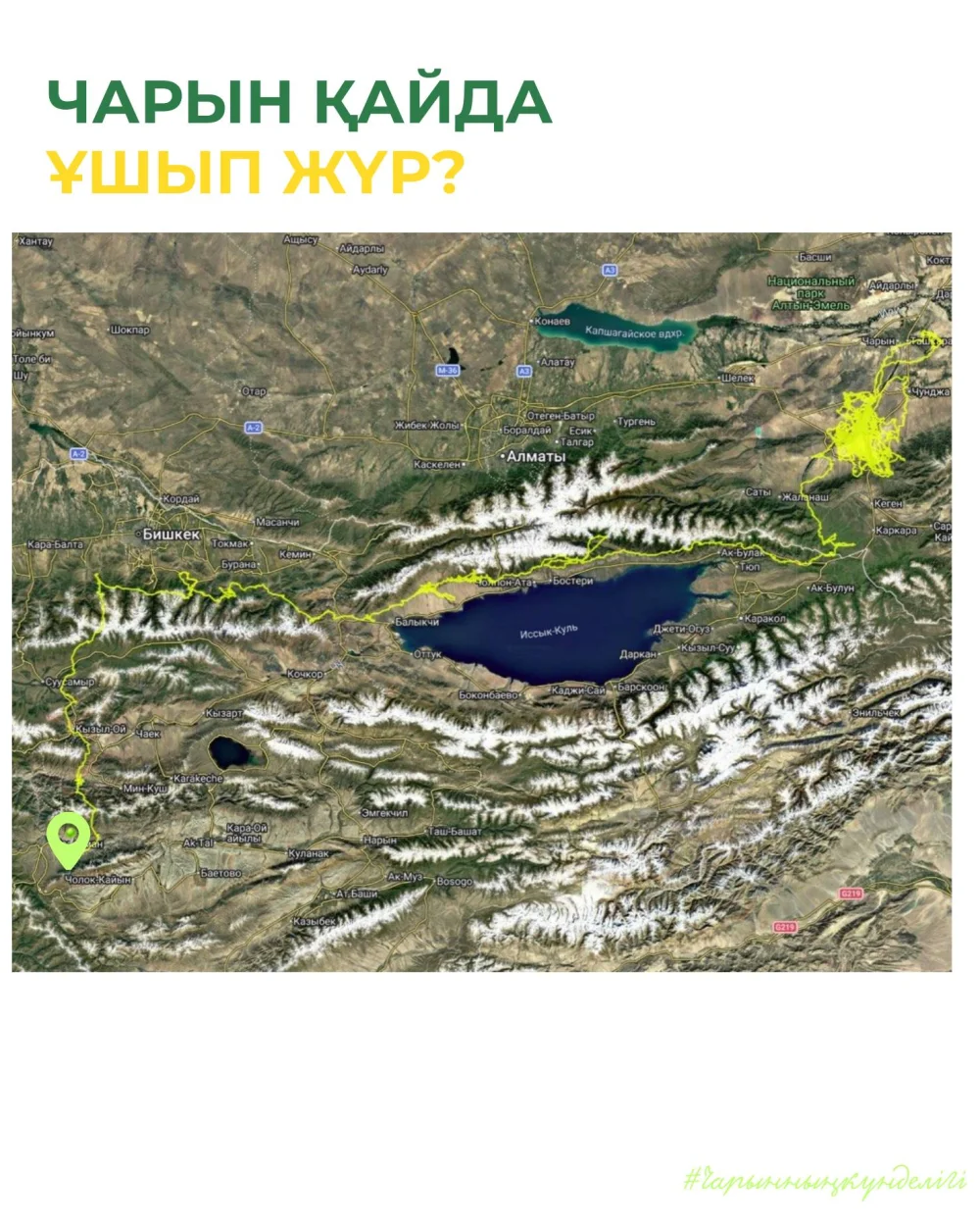 Емелден кейін — Шарын! Тағы бір тазқараның жолы Қырғызстанға қарай созылды — Фотосурет 2