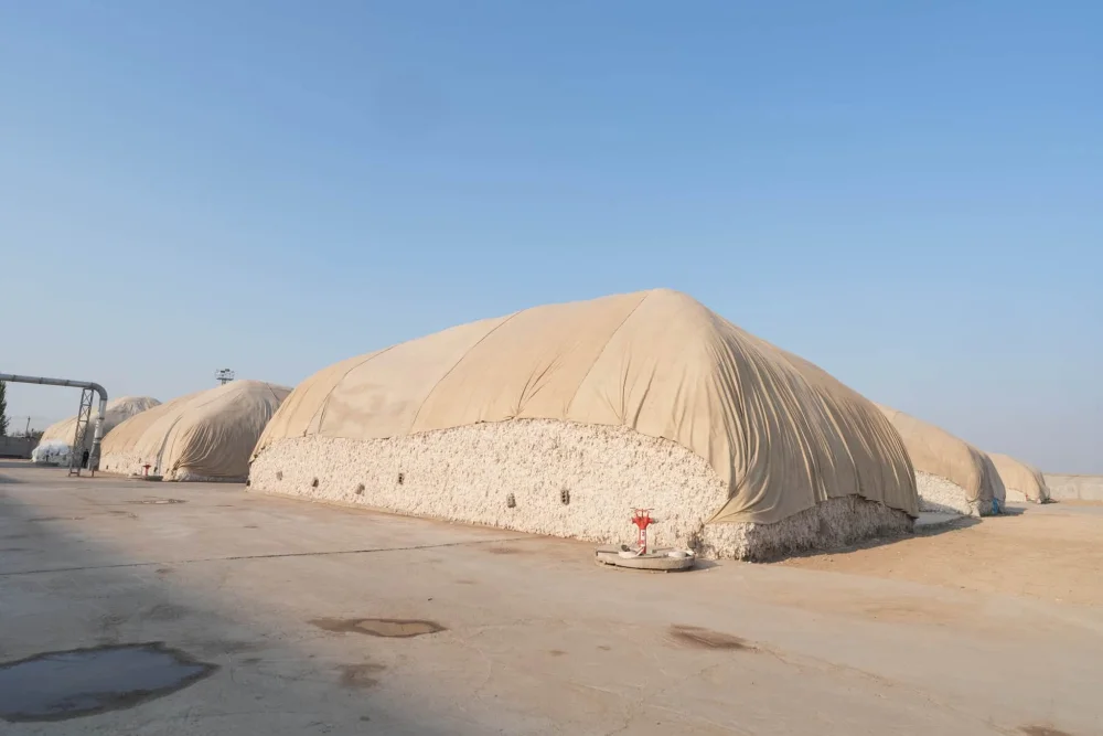 ПРЕЗИДЕНТ ТАПСЫРМАСЫ: ТҮРКІСТАН ОБЛЫСЫ ЖЕТІСАЙ АУДАНЫНДА ЗАМАНАУИ МАҚТА ЗАУЫТЫ АШЫЛДЫ — Фотосурет 12