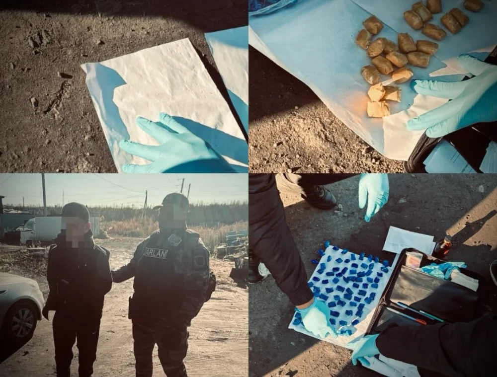 Петропавл қаласының Заречный кентінде басқа өңірдің тұрғынынан 106 түйіншек «меф» тәркіленді