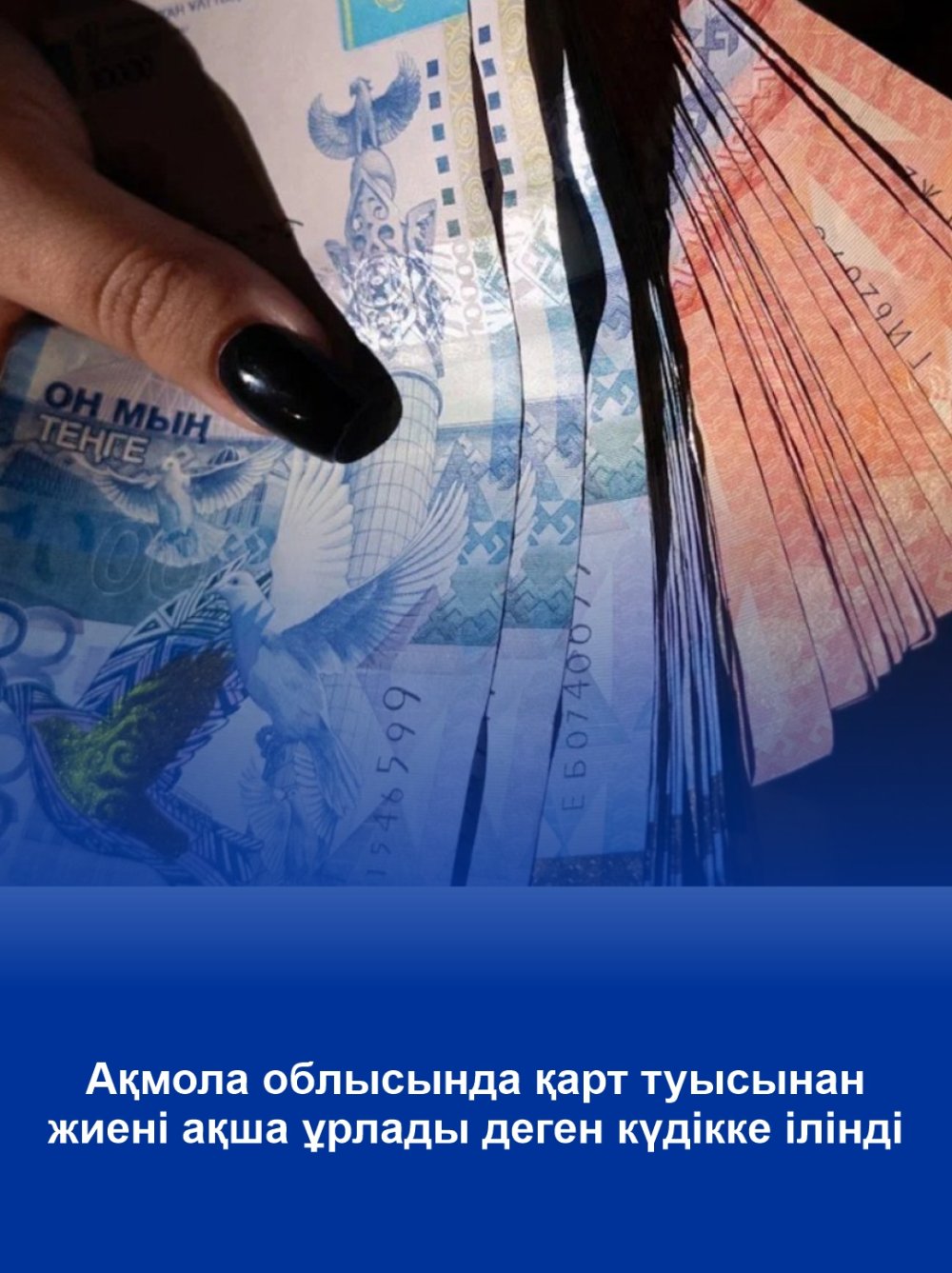 Ақмола облысында қарт туысынан жиені ақша ұрлады деген күдікке ілінді