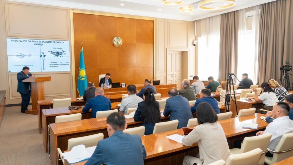 ШҚО-да орман өрттерінің аумағы екі есеге қысқарды