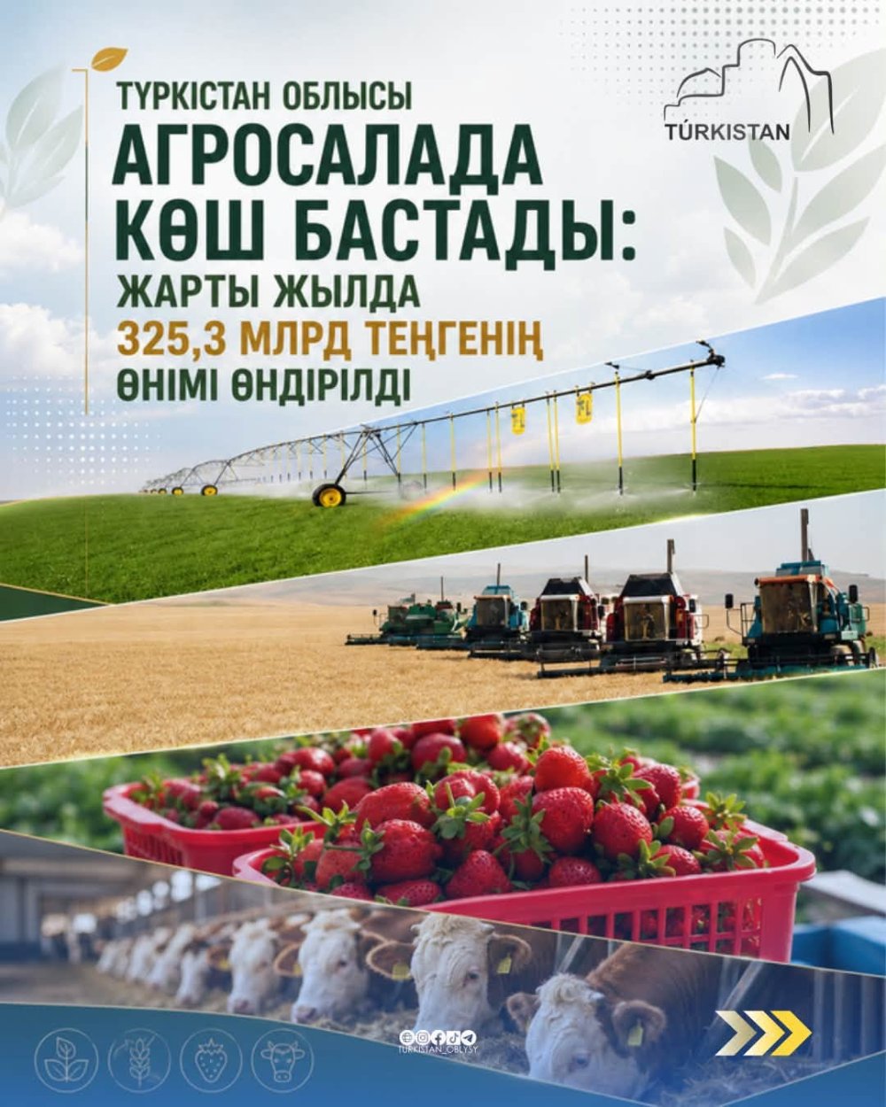 ТҮРКІСТАН ОБЛЫСЫ АГРОСАЛАДА КӨШ БАСТАДЫ: ЖАРТЫ ЖЫЛДА 325,3 МЛРД ТЕҢГЕНІҢ ӨНІМІ ӨНДІРІЛДІ