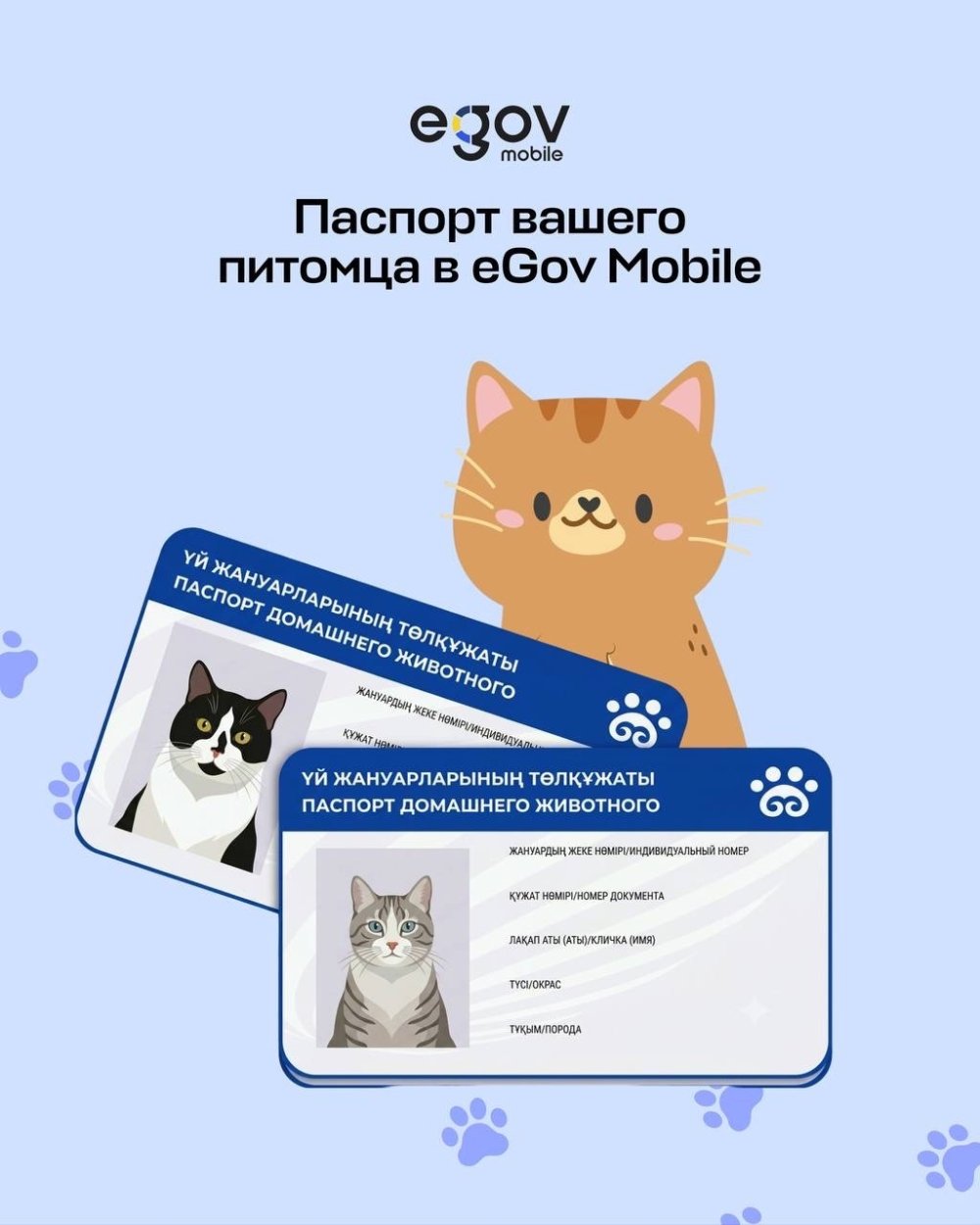 eGov Mobile қосымшасы арқылы үй жануарыңыздың цифрлық төлқұжатын бірнеше секундта қарап, қажет болған жағдайда көрсете аласыз