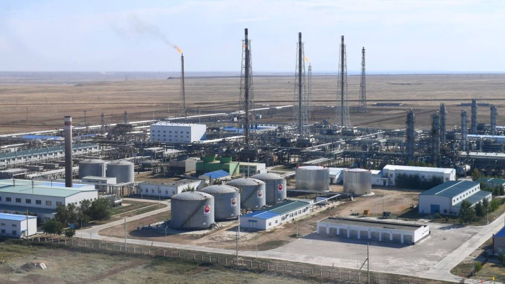 Ақтөбе облысында жоғары технологиялық жылыжай кешені салынады