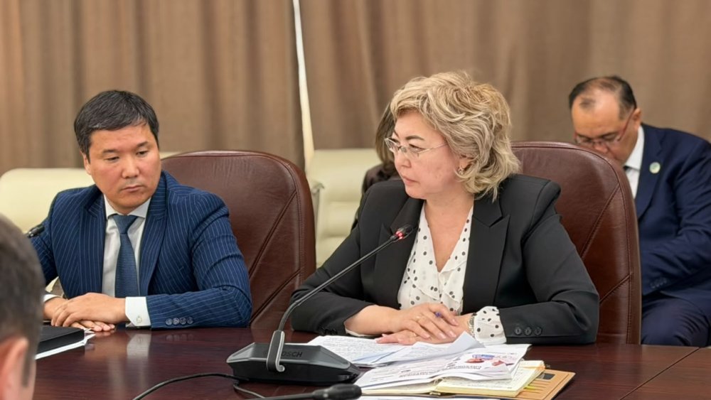 Есту қабілеті бұзылған қазақстандықтар енді мүгедектік мәртебесінсіз-ақ есту аппараттарын ала алады — Денсаулық сақтау министрлігі