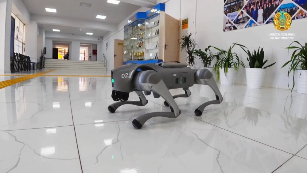 Техникалық және кәсіптік білімдегі маман даярлау тәжірибесі