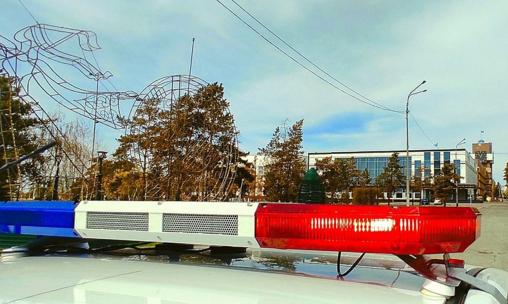 Қараусыз және қаңғыбас малға қатысты профилактикалық жұмыс