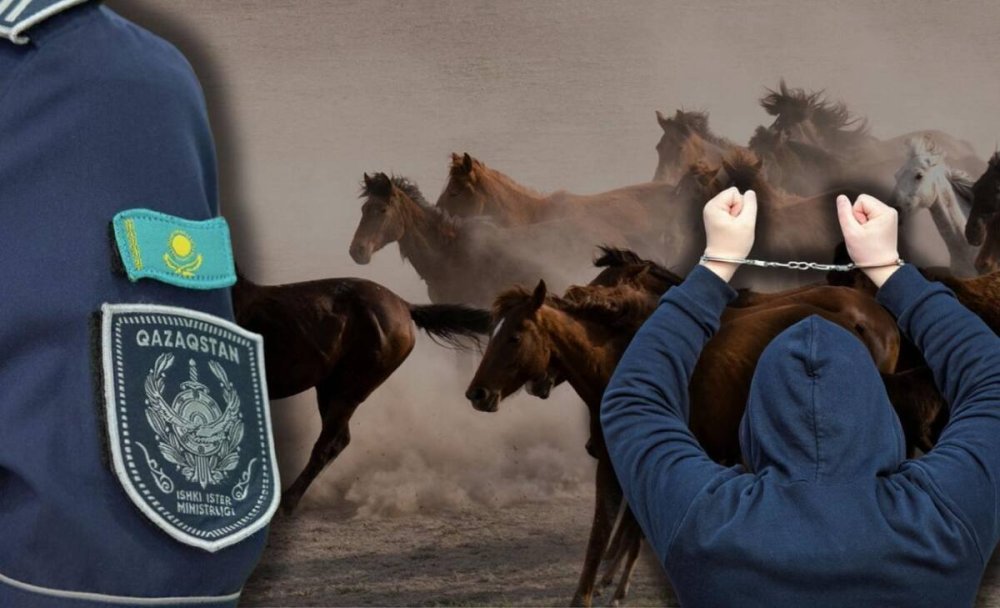 Көрші ауылдың 165 қойын сатып жіберген: Ұлытауда малшының әрекеті әшкереленді