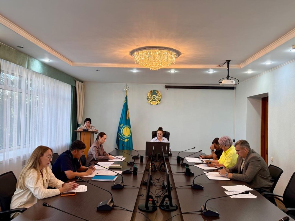 Әлеуметтік қорғау, халықтың денсаулығын қорғау, білім беру, мәдениет және жастар істері жөніндегі тұрақты депутаттық комиссияның отырысы