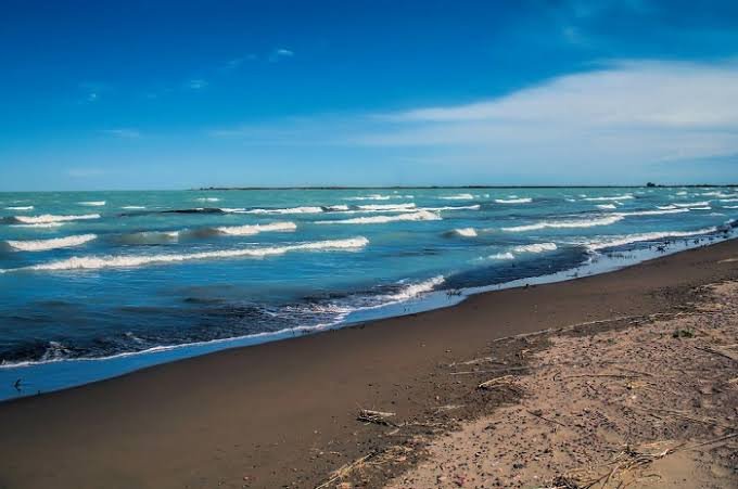 Жетісу облысының Балқаш көлінің резервтік учаскелерін бекіту жөніндегі конкурс өткізу туралы