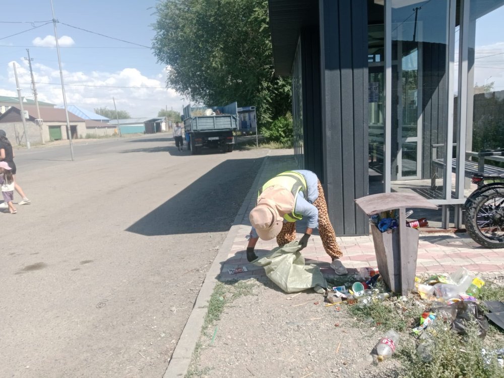 Санитарлық тазалау жұмыстары