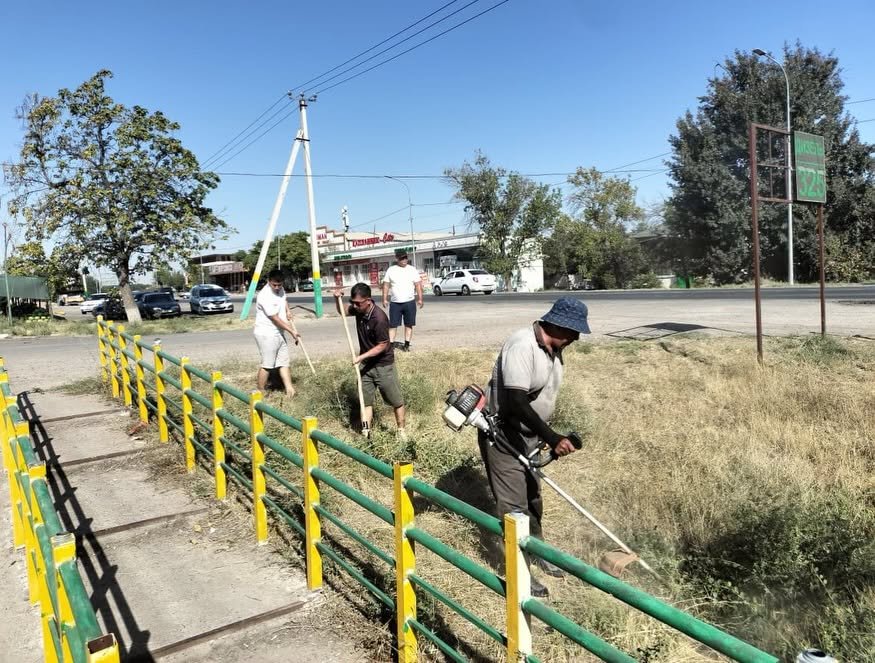 ТАЗА ҚАЗАҚСТАН: САРЫАҒАШ АУДАНЫНДА КЕЗЕКТІ АУҚЫМДЫ СЕНБІЛІК ӨТТІ