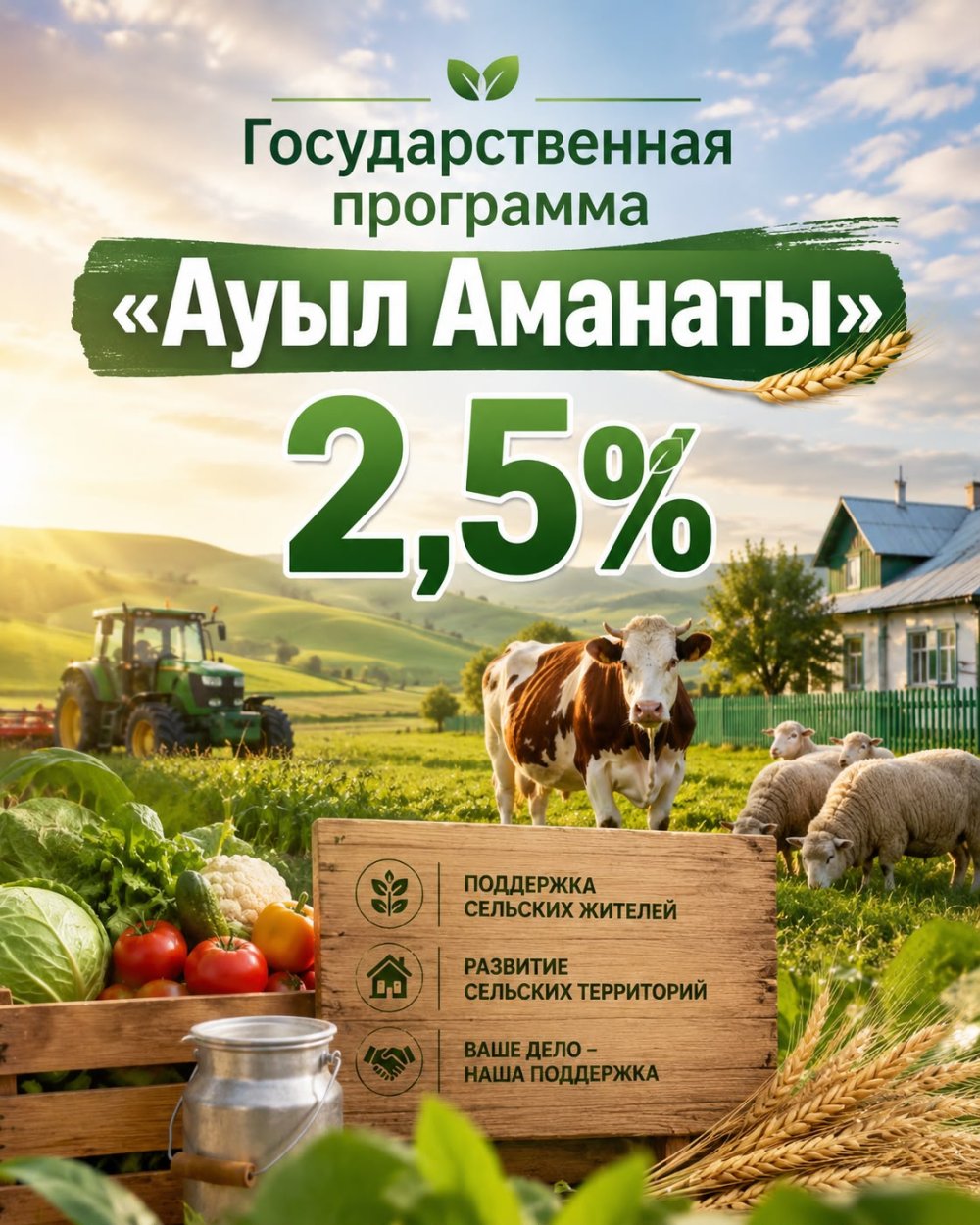 Ауыл Аманаты бағдарламасы бойынша жобаларға микрокредит беру