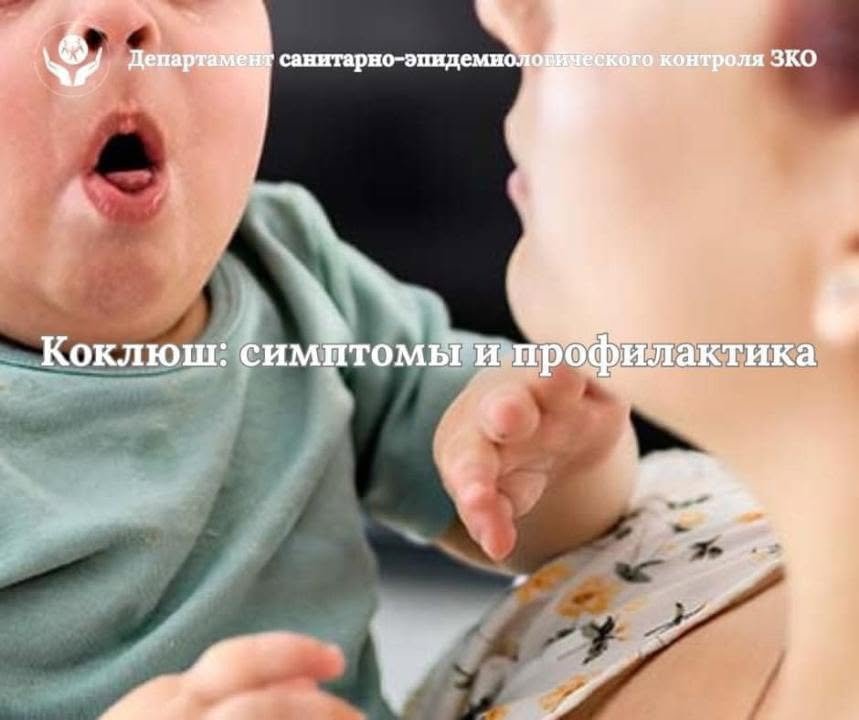 Көкжөтел: белгілері және алдын алу шаралары