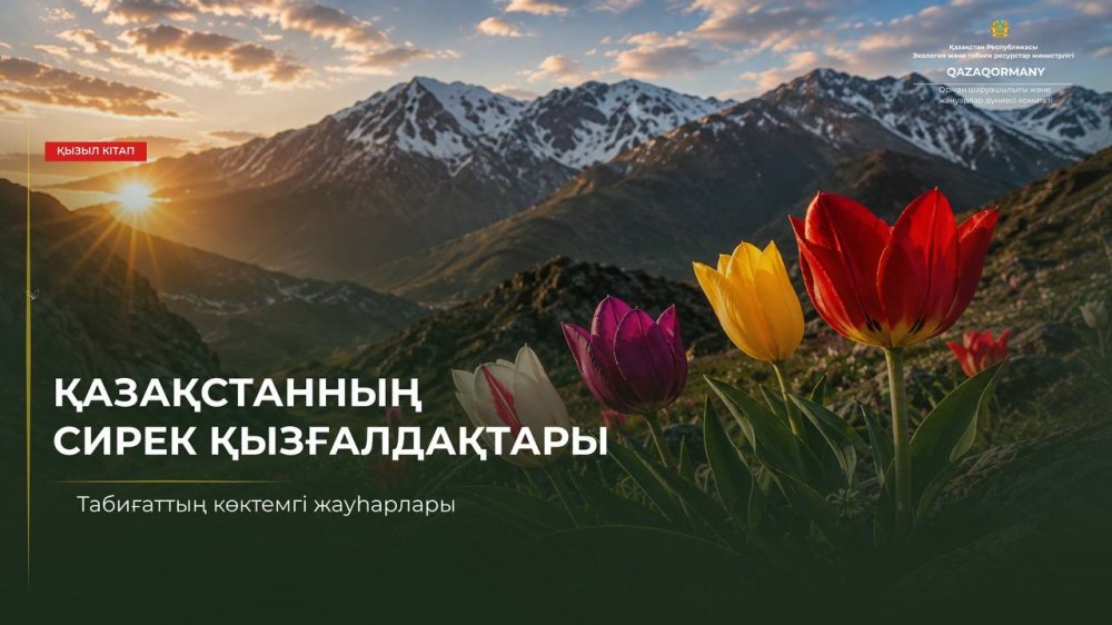 Бір тұтас гүлдің артында — бір тұтас табиғи тарих