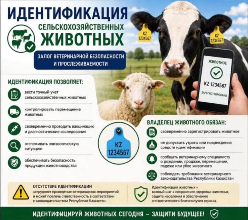 Ауыл шаруашылығы жануарларын цифрлық бақылау және сәйкестендіру