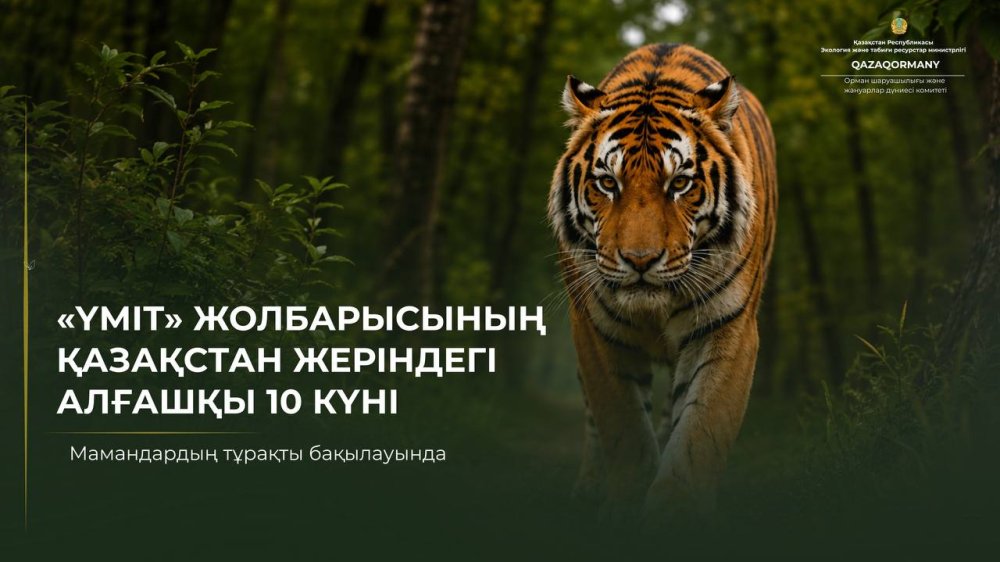 Үміттің Қазақстандағы алғашқы 10 күні