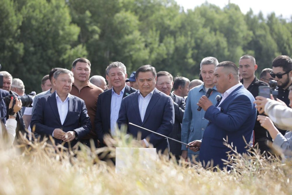 «Журавлевка-1» ЖШС-нің егіс алқаптарындағы орақ науқанының барысы
