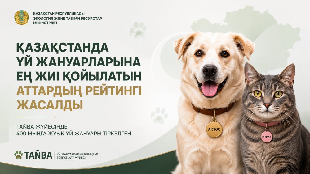 Қазақстанда үй жануарларына ең жиі қойылатын аттардың рейтингі жасалды