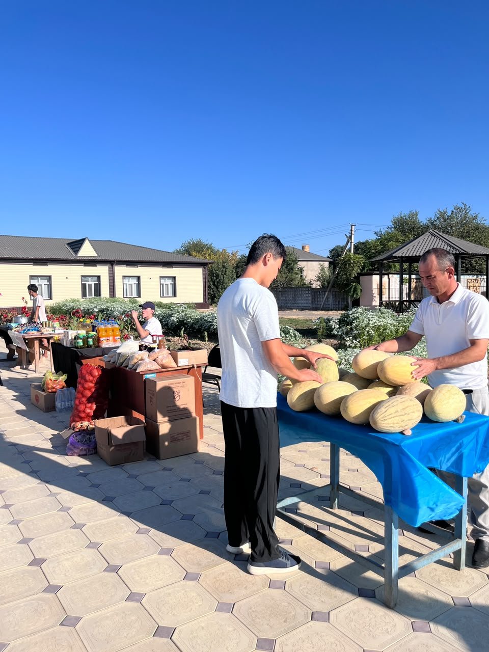 МАҚТААРАЛДА САЙЛАУ ҚАРСАҢЫНДА АУЫЛ ШАРУАШЫЛЫҒЫ ЖӘРМЕҢКЕСІ ҰЙЫМДАСТЫРЫЛДЫ